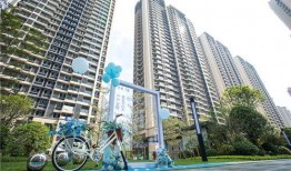 四川新闻爆料保利,揭秘神秘工程进展